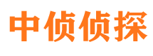 翠屏市调查公司